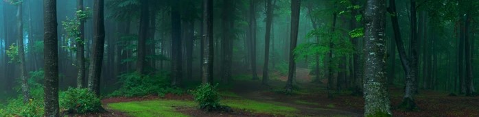 requested_user.username